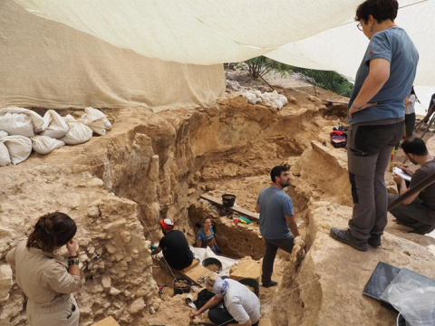Los neandertales fijaron en Pinilla del Valle un santuario de caza