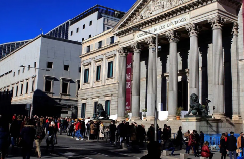 El Parlamento incumple la Constitución al actuar como 