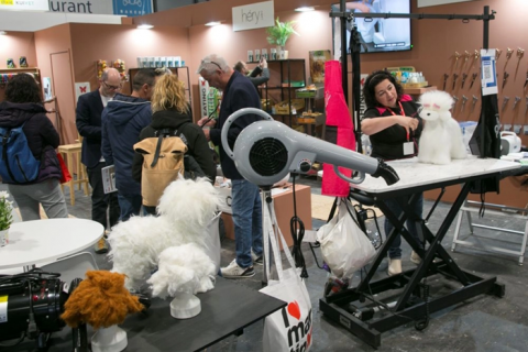 Los animales de compañía, protagonistas de Iberzoo Propet