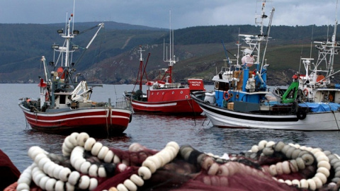 El PP sugiere usar el fondo soberano español para financiar la renovación de la flota pesquera