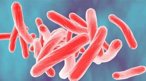 Sanidad advierte de un repunte de la tuberculosis en España