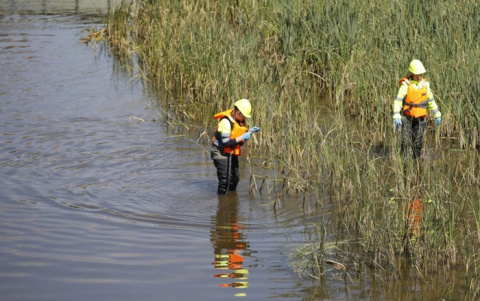 El Ayuntamiento comienza la campaña contra la mosca negra en el río Manzanares