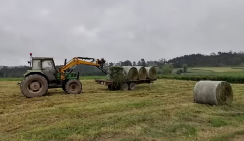 Cerca de 24.500 agricultores y ganaderos madrileños podrán acceder a reducciones en el IRPF