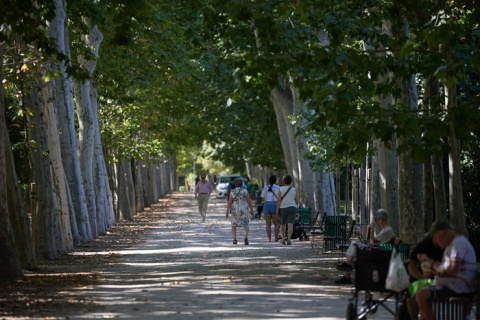 Impulsan la creación de tres itinerarios para unir espacios verdes de Madrid