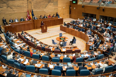 La Asamblea homenajea al pueblo gitano como parte 
