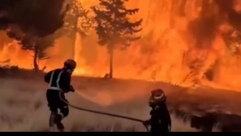 Vox denuncia que la causa de los incendios es el abandono del medio rural