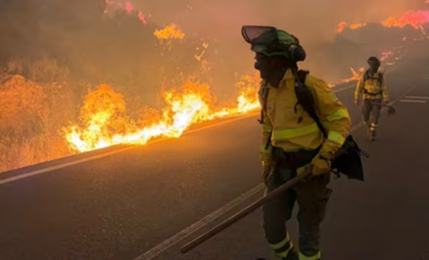 Doce muertos y ocho heridos en el incendio forestal de Los Gallardos
