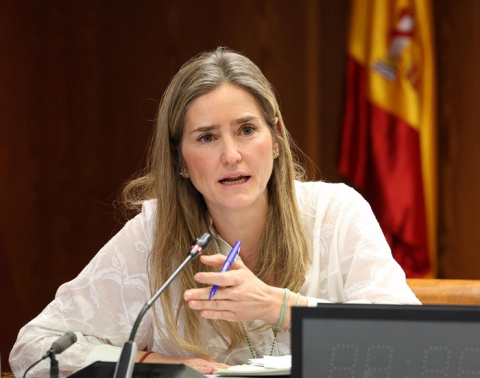 El Senado interroga a la vicepresidenta Aagesen y al DAO de la Guardia Civil