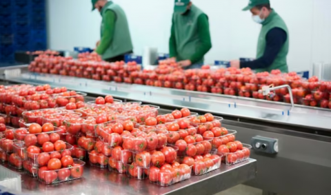 La economía crece un 0,7% en el segundo trimestre, una décima más