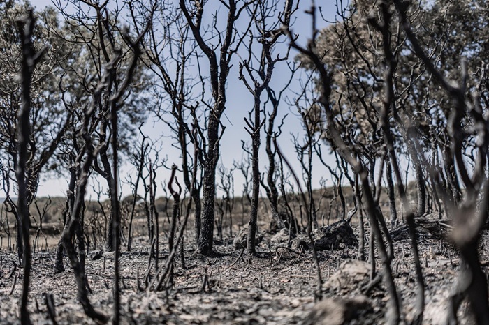 Los incendios forestales han calcinado una superficie seis veces mayor que en 2025
