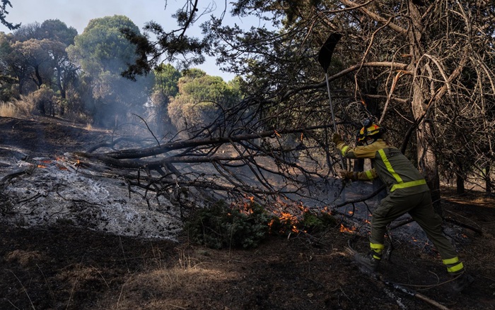Un incendio forestal en Aldea del Fresno obliga a desalojar varias urbanizaciones
