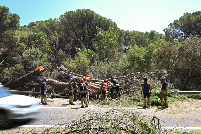 Arrancan las labores de limpieza para reconstruir la Sierra Oeste tras el gran incendio