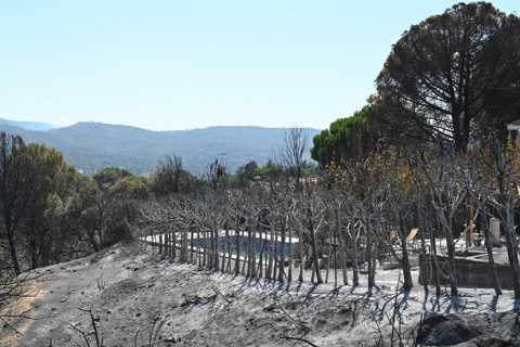 El baño y la navegación en el Pantano de San Juan y la Playa del Alberche continúa prohibido