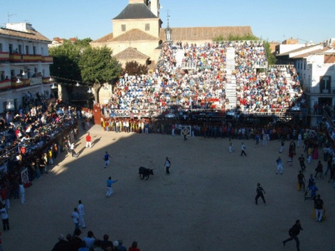 Herido por asta de toro un corredor en el primer encierro de las fiestas