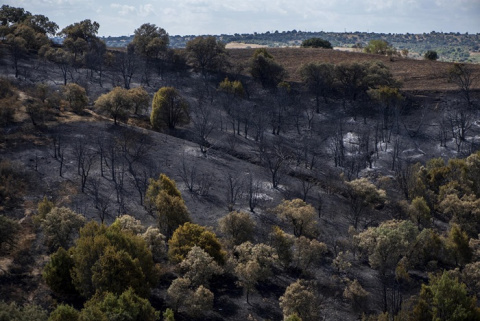 El Plan de Restauración de la Sierra Oeste será a 10 años vista